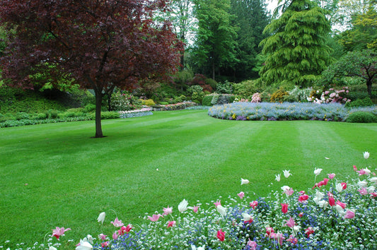 Spring has sprung! Get the latest tips (our interviews on TV and radio).